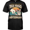 Cats Shirt - I Aksed God For A True Friend So He Gave Me A Abyssinian