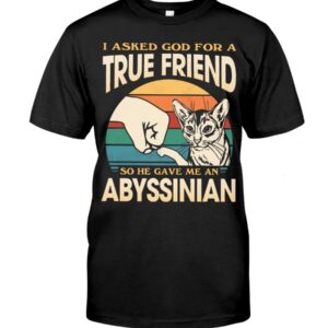 Cats Shirt - I Aksed God For A True Friend So He Gave Me A Abyssinian