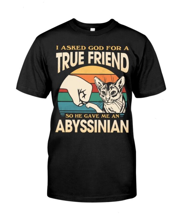 Cats Shirt - I Aksed God For A True Friend So He Gave Me A Abyssinian