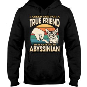 Cats Shirt - I Aksed God For A True Friend So He Gave Me A Abyssinian