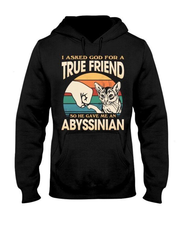 Cats Shirt - I Aksed God For A True Friend So He Gave Me A Abyssinian