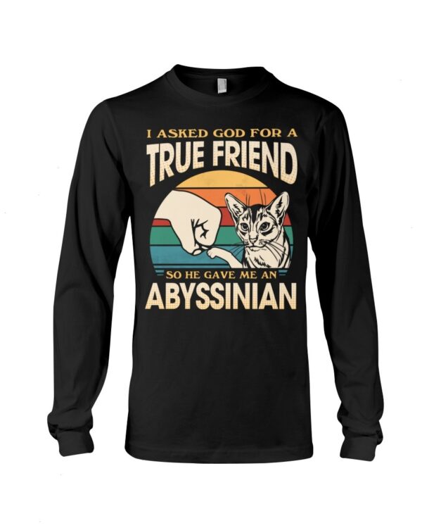 Cats Shirt - I Aksed God For A True Friend So He Gave Me A Abyssinian