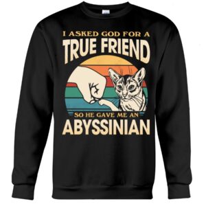 Cats Shirt - I Aksed God For A True Friend So He Gave Me A Abyssinian