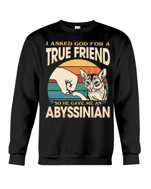 Cats Shirt - I Aksed God For A True Friend So He Gave Me A Abyssinian