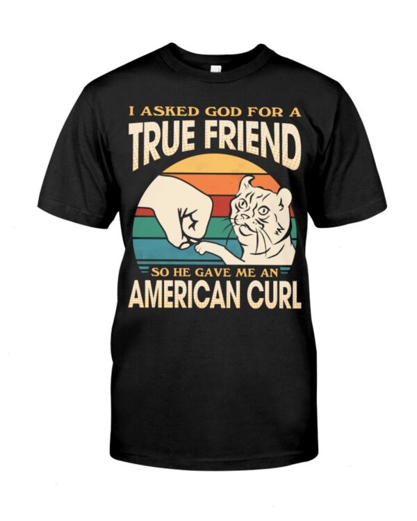 Cats Shirt - I Aksed God For A True Friend So He Gave Me A American Curl