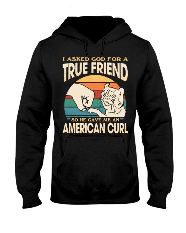 Cats Shirt - I Aksed God For A True Friend So He Gave Me A American Curl