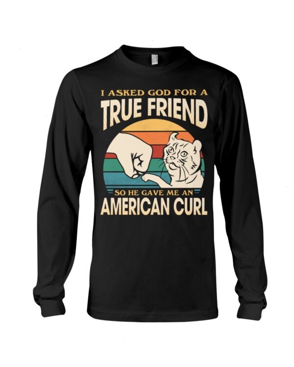 Cats Shirt - I Aksed God For A True Friend So He Gave Me A American Curl