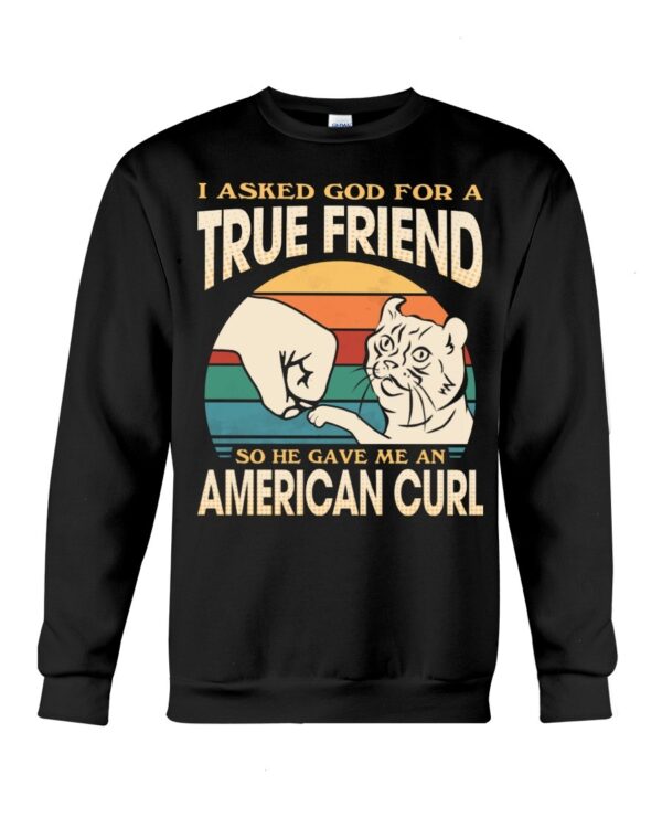 Cats Shirt - I Aksed God For A True Friend So He Gave Me A American Curl