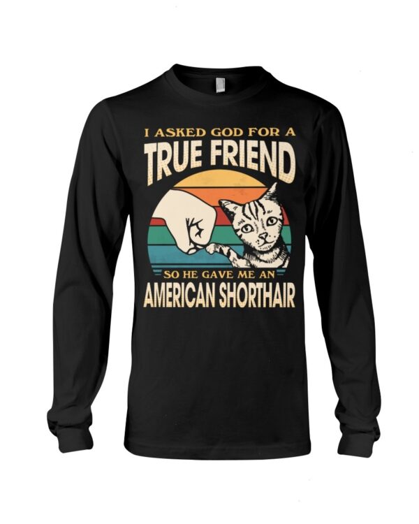 Cats Shirt - I Aksed God For A True Friend So He Gave Me A American Shorthair