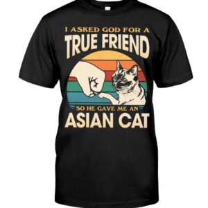 Cats Shirt - I Aksed God For A True Friend So He Gave Me A Asian Cat