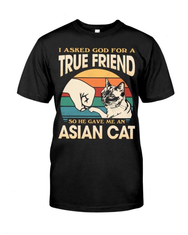 Cats Shirt - I Aksed God For A True Friend So He Gave Me A Asian Cat