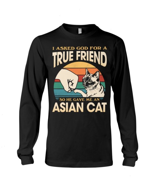 Cats Shirt - I Aksed God For A True Friend So He Gave Me A Asian Cat