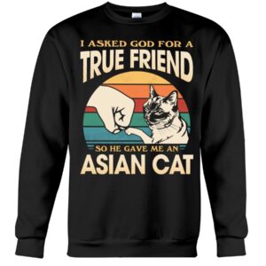 Cats Shirt - I Aksed God For A True Friend So He Gave Me A Asian Cat